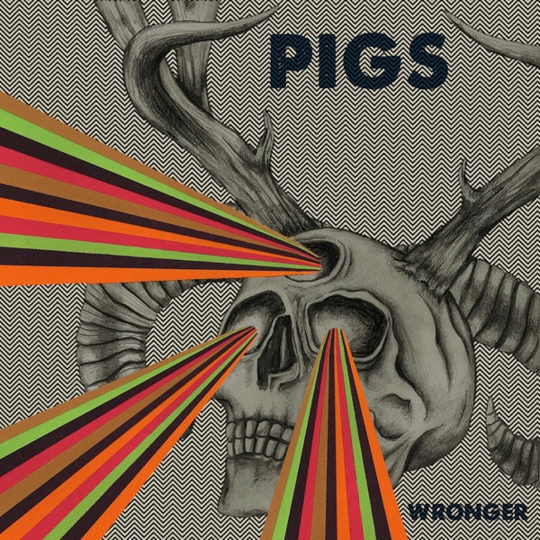 Pigs