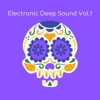 Electronic Deep Sound, Vol. 1