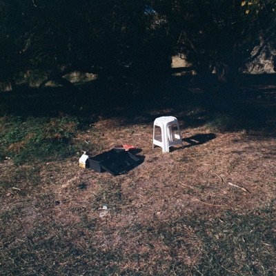 La Flor y la Estatua - Single