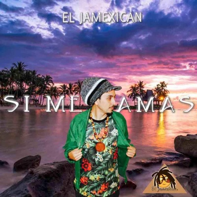 Si Me Amas - Single