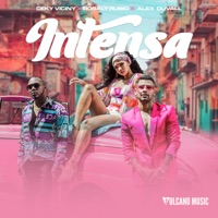 Intensa - Single - Ceky Viciny, Rosaly Rubio & Alex Duvall