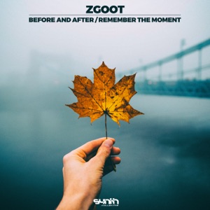 Before and After / Remember This Moment - Single