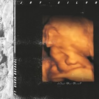 ¿Qué Nos Pasó? (feat. Diana Borruel) - Single - Jay Silva