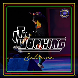 It Is Working Soltune