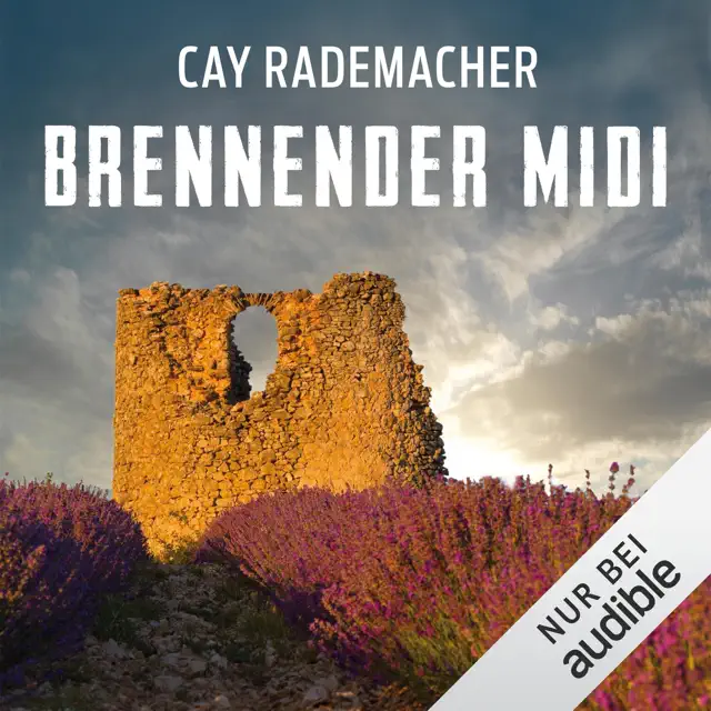 Brennender Midi. Ein Provence-Krimi: Capitaine Roger Blanc 3