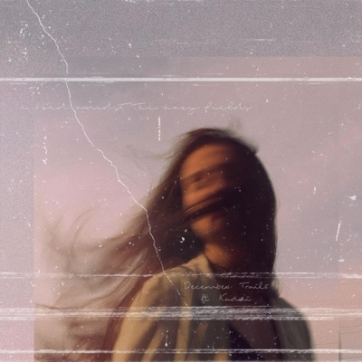 A Bird Amidst the Hazy Fields (feat. kaddi) - Single