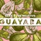 Guayaba - Ezra & the Reletivs lyrics