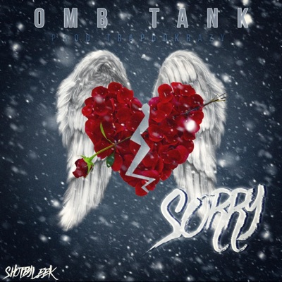 Sorry - Single
