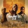 Gaine D 2.0 - Single