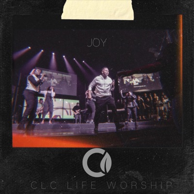 Joy (feat. Jon Jones) - Single