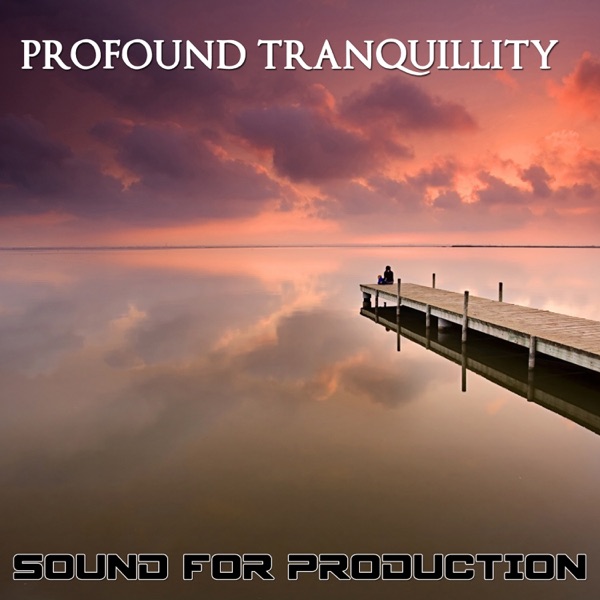 Sound For Production Profound Tranquillity (feat. Sébastien Paindestre)