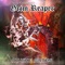 The Hand That Rocks the Cradle - Steve Grimmett's Grim Reaper lyrics