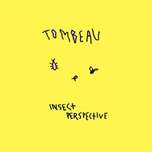 Insect Perspective - Single
