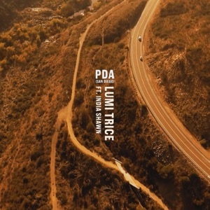 PDA (San Diego) [feat. India Shawn] - Single