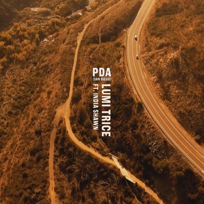 PDA (San Diego) [feat. India Shawn] - Single