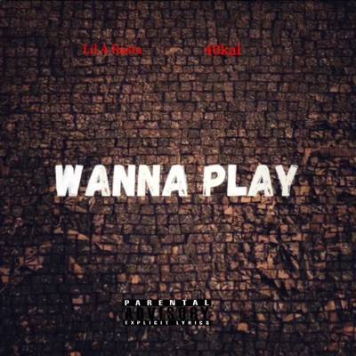 Wanna Play (feat. 40kal423) - Single