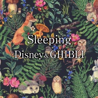 Sleeping  Disney & GHIBLI Music Box