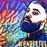 Wonderful - Single - Babar