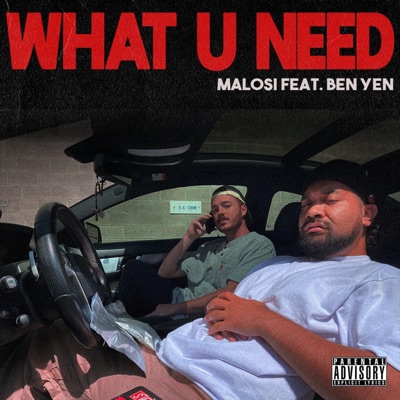 What You Need (feat. Ben Yen) - Single