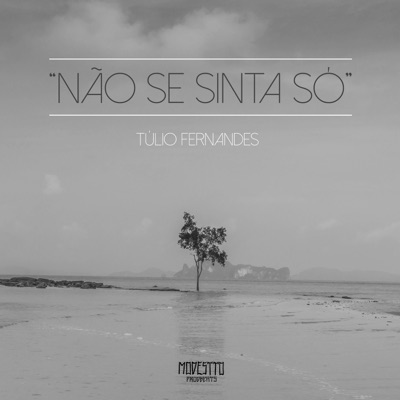 Não Se Sinta Só - Single
