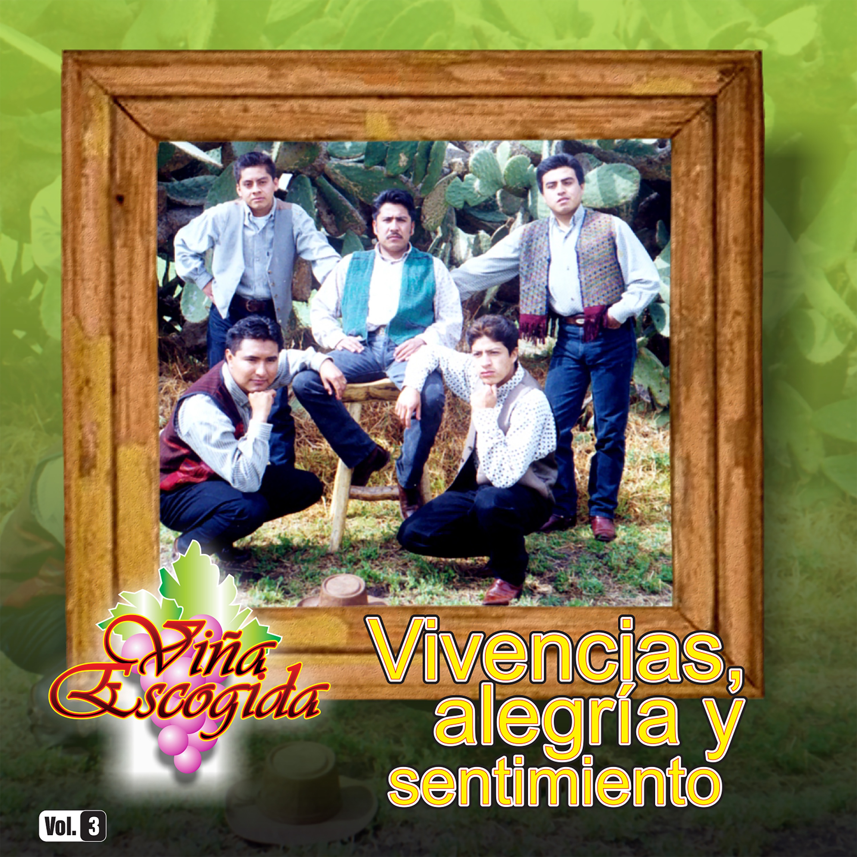 Vivencias, Alegría y Sentimiento, Vol. 3