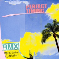 Perfect Timing (Remix) - Single - Brandon Serafino & Nelly Nelz