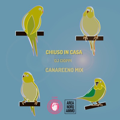 Chiuso in casa - Single