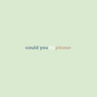 Could You Try Please - Single