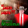 EL GALLO MOJADO