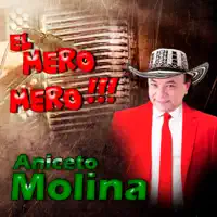 El Gallo Mojado — Aniceto Molina