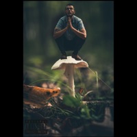 The Divider - Single - TooFaced