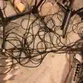 Thorns