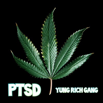 PTSD - Single