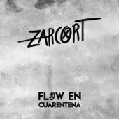 Flow en Cuarentena artwork