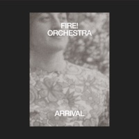 Fire! Orchestra - Blue Crystal Fire