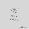 How Do You Know? - Single