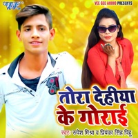 Tora Dehiya Ke Gorai - Single - Rupesh Mishra & Priyanka Singh Pihu
