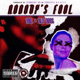 Nobody's Fool (feat. Sly Ross) Pak