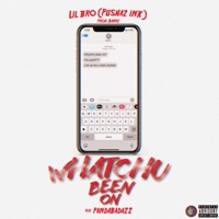 Whatchu Been On (feat. PandaBadAzz) - Single - Lil Bro PushazInk