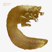 Rubbed Out - Alexis Taylor