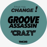 Crazy - Single - Groove Assassin