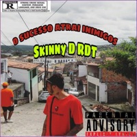 O Sucesso Atrai Inimigos (feat. Lil Dino) - Single - Skinny D RDT