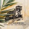 Swindle (feat. Rafa Rodriguez) - Catbamboo lyrics