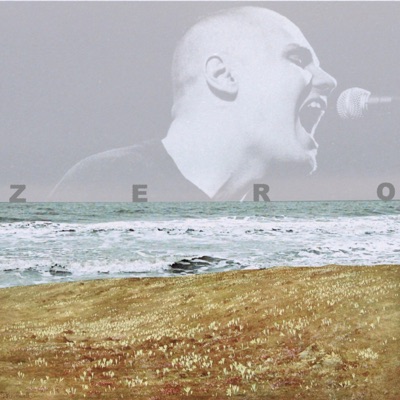 Zero (feat. Goldenninjah) - Single