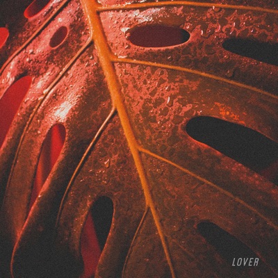 Lover - Single