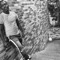 All Kinda (feat. Zae Imperial) - Isiah Binladen lyrics