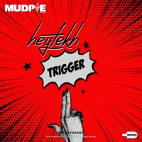 Trigger - Single - Willie Kay