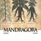 Mandragora - Sweet & Tepek lyrics