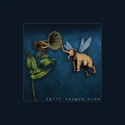 Listen to Split Tongue Crow, watch music videos, read bio, see tour dates & more!