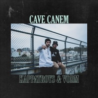 Cave Canem X Vorm - Single - Kappatroys